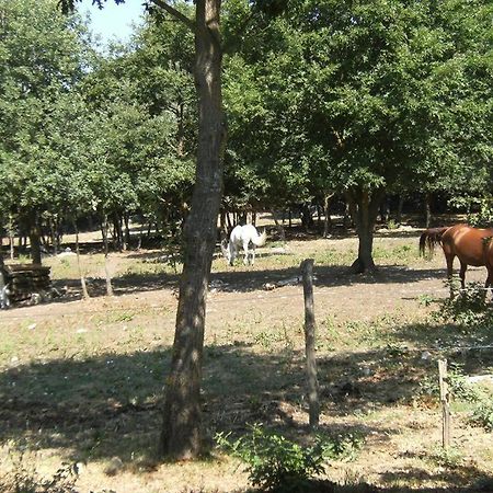 Willa Difenza Cappella San Giuliano del Sannio Zewnętrze zdjęcie