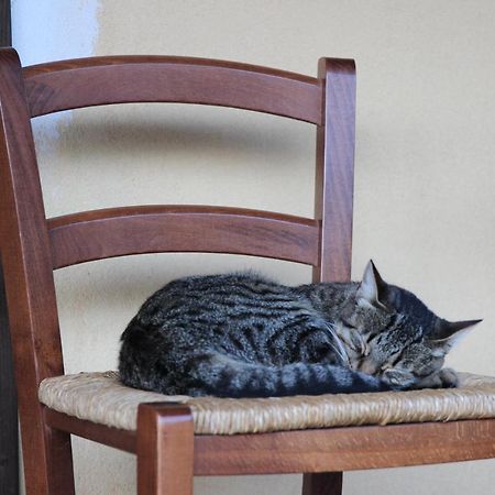 Willa Difenza Cappella San Giuliano del Sannio Zewnętrze zdjęcie